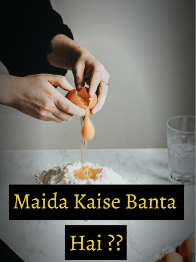 Maida Kaise Banta Hai: जाने मैदा का 1 अनसुना रहस्य